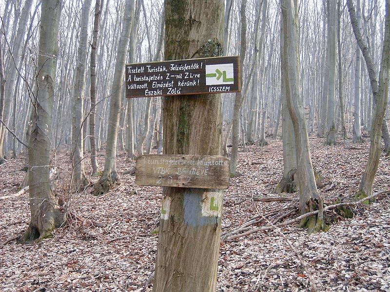 20110312 054.jpg